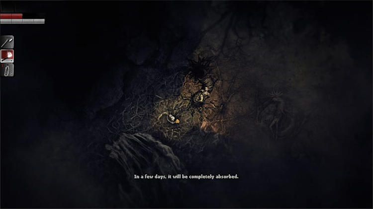 Darkwood 6.jpg