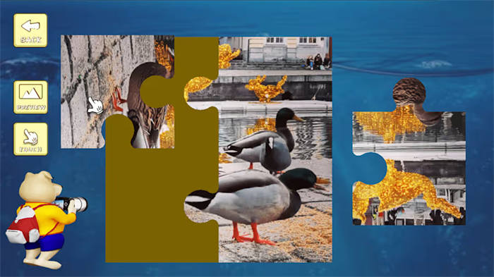 Jigsaw Puzzle_ Belgium through the Lens 2.jpg