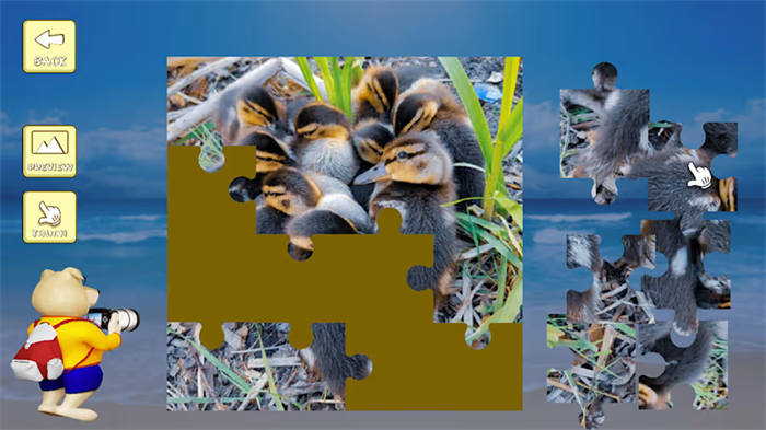 Jigsaw Puzzle_ Belgium through the Lens 5.jpg