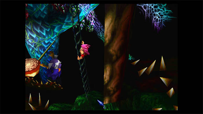 Tomba! 2_ The Evil Swine Return Special Edition 6.jpg