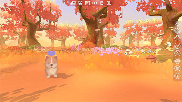 Camper Van_ Make it Home 4.jpg