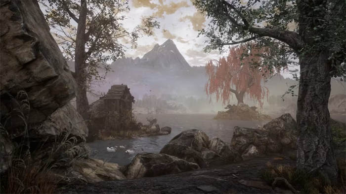 The Dead Tree of Ranchiuna  3.jpg