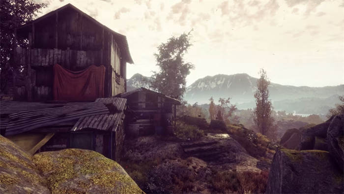 The Dead Tree of Ranchiuna  6.jpg