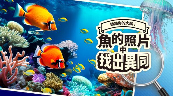 QQ截图20260528154735.jpg
